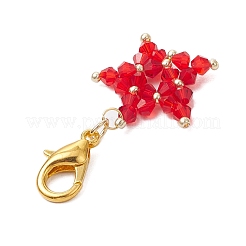 Подвесные украшения из стеклянных бусин ручной работы&nbsp;HJEW-MZ00204