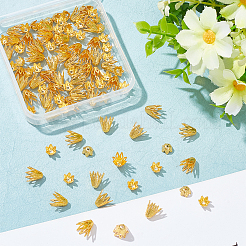 100 шт. 2-х стильный латунный колпачок для бусины&nbsp;KK-NB0003-25