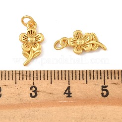 Латунные подвески&nbsp;KK-K364-27A-G