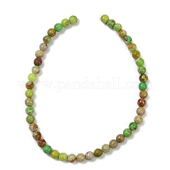 Нити бусин из окрашенного натурального регалита/императорской яшмы/морского осадка яшмы&nbsp;G-B124-C04-06