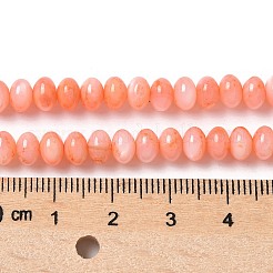 Нити бусин из натуральных пресноводных ракушек&nbsp;SSHEL-C013-07A