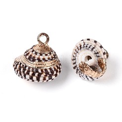 Гальванические подвески из натуральных ракушек&nbsp;BSHE-T015-05