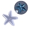 Silicone Molds, Resin Casting Molds, For UV Resin, Epoxy Resin Jewelry Making, Starfish/Sea Stars, White, 60x85x20mm