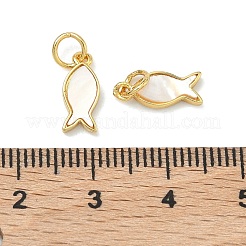 Натуральные белые моллюски-талисманы&nbsp;KK-F926-04B