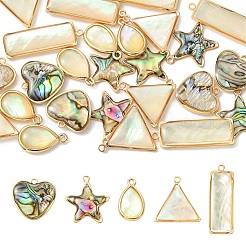 5 шт. подвески из натуральной ракушки пауа/ракушки абалона&nbsp;FIND-YW0008-61