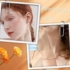 Прозрачные стеклянные бусины смешанного стиля&nbsp;GLAA-SC0002-17B