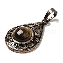 Природных тигровый глаз подвески&nbsp;G-H065-02R-07