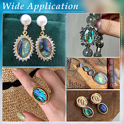 18 шт. 3 стиля натуральных кабошонов из ракушек пауа&nbsp;SSHEL-PH0001-43