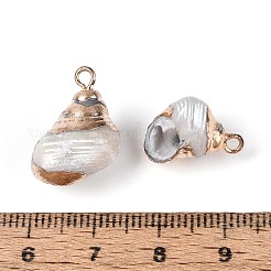 Гальванические подвески из натуральных ракушек&nbsp;BSHE-T015-12