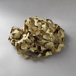 Волнистая бахрома с отделкой полиэфирной лентой SRIB-WH0011-325