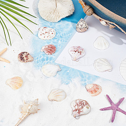 40 шт. бусины из натуральной ракушки-гребешка&nbsp;SSHEL-SP0001-02