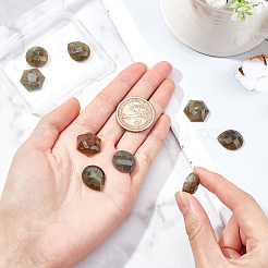 9 шт. 3 вида кабошонов из натурального лабрадорита&nbsp;G-FH0001-27