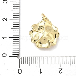 Латунные подвески&nbsp;KK-K417-10G