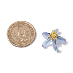 Окрашенные стеклянные подвески&nbsp;PALLOY-MZ00658