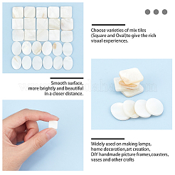 100 шт. 2 вида кабошонов из натуральной пресноводной ракушки&nbsp;SHEL-GF0001-01