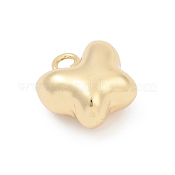 Латунные подвески&nbsp;LS-KK-Q049-01G-G