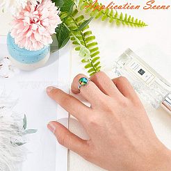 Регулируемые кольца для пальцев из нержавеющей стали 304&nbsp;STAS-L193-P-12mm