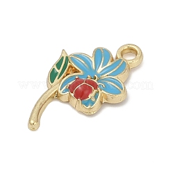 Подвески из эмали и сплава&nbsp;PALLOY-V003-01G-02