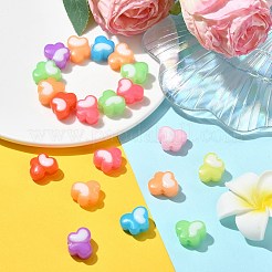 5 пакетик непрозрачных акриловых бусин&nbsp;OACR-CJ0001-73