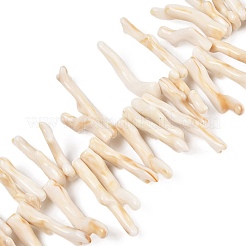 Нити бусин из непрозрачного акрила&nbsp;SACR-P033-01A