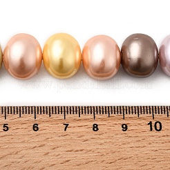 Оболочки жемчужина бисер нитей&nbsp;BSHE-F013-01N