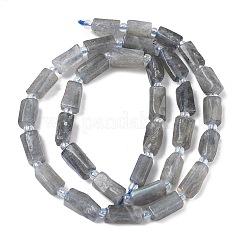 Природные лабрадорита бисер нитей&nbsp;G-C270-K19-01