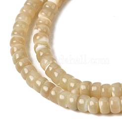 Нити бусин из натуральных трохоидных/трохус ракушек&nbsp;SSHEL-S266-019B-03