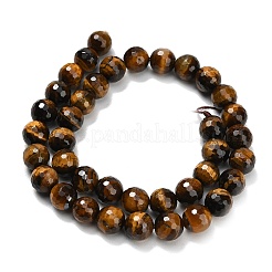 Природных тигровый глаз бисер нитей&nbsp;G-C280-B21-10mm