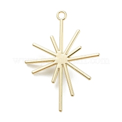 Подвески из сплава &nbsp;X-PALLOY-E580-05LG