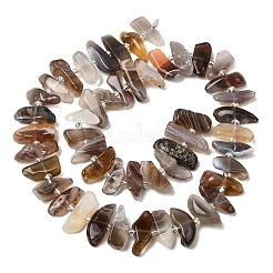 Природные Ботсвана агат бисер нитей&nbsp;G-L649-A06-01
