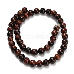 Природных тигровый глаз бисер нитей&nbsp;G-F591-18-8mm-07