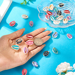 28шт 7 цвета натуральные бусины из ракушек каури&nbsp;SSHEL-TA0001-22