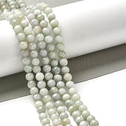 Натуральные бусины из мьянманского жадеита&nbsp;G-L595-C01-01A