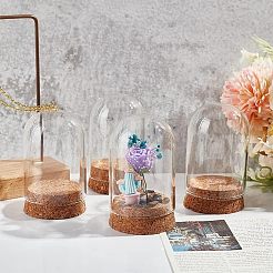 Купол из высокопрочного боросиликатного стекла&nbsp;DJEW-NB0001-22