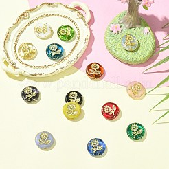 14шт 14 стиля ручной работы бусины лэмпворк&nbsp;LAMP-CJ0002-61