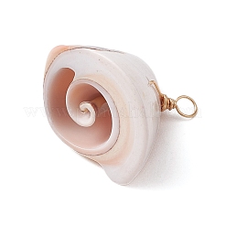 Кулоны из натуральной оболочки глаза шива&nbsp;PALLOY-JF02952