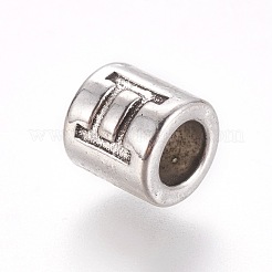 Сплавочные европейские бусины&nbsp;PALLOY-WH0065-20AS