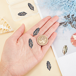 6 шт. подвески из натуральной ракушки пауа&nbsp;FIND-AR0002-18