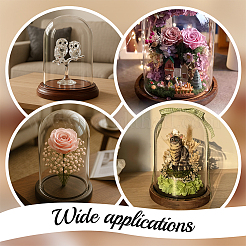 Стеклянный купол&nbsp;ODIS-WH0079-021A