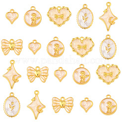 24шт 6 стиля подвески из сплава с эмалью&nbsp;ENAM-FS0002-65G