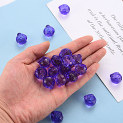 Прозрачные акриловые подвески&nbsp;TACR-T024-05B-936