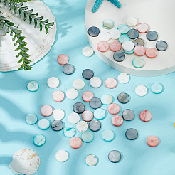 4 нитка 4 цвета натуральные белые ракушечные бусины нитки&nbsp;BSHE-HY0001-06