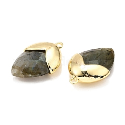 Природные подвески лабрадорита&nbsp;G-U019-03B-07