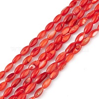 Натуральные пресноводные окрашенные бусы из ракушек&nbsp;SHEL-M018-13-05