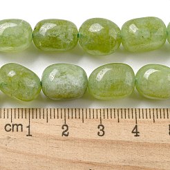 Натуральный Malaysia нефритовые бусы пряди&nbsp;G-P528-N01-01