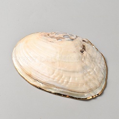 Украшение для витрины с ракушками&nbsp;AJEW-WH0766-44