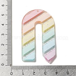 Акриловые подвески&nbsp;LS-OACR-H113-01H