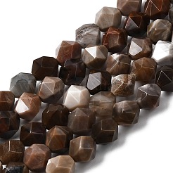 Природные окаменелое дерево бисер пряди&nbsp;G-Z119-A21-02