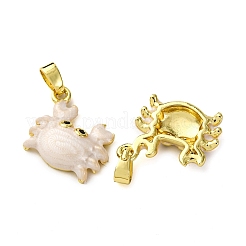 Латунные микро проложить кубического циркония подвески&nbsp;KK-F911-18G-02