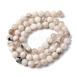 Натуральный белый лунный камень бисер пряди&nbsp;X-G-I388-01-6mm